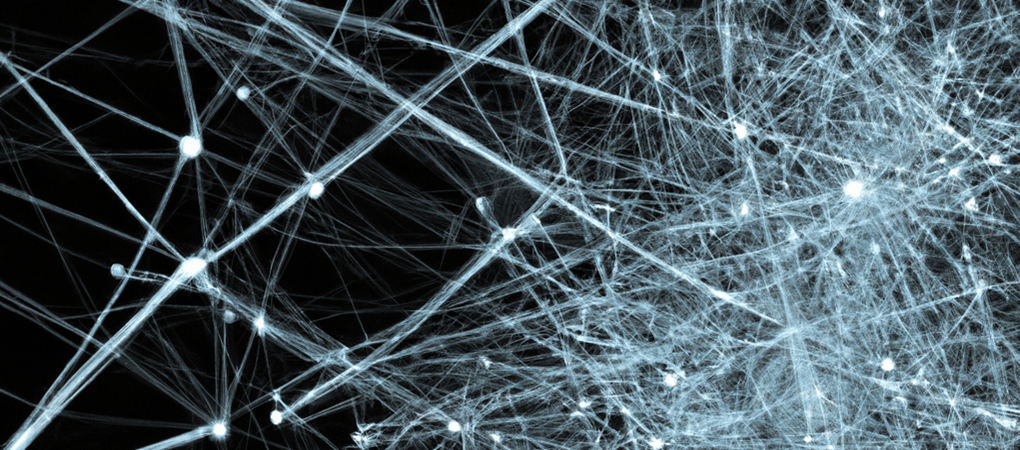 image suggesting nodes and edges representing knowledge
